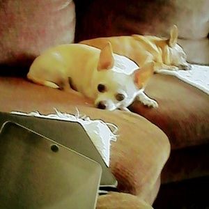 Meet your Posher, Vivien